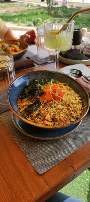  at The Botanist in Zadar