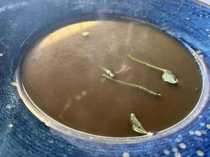 Stone soup   at The Botanist in Zadar