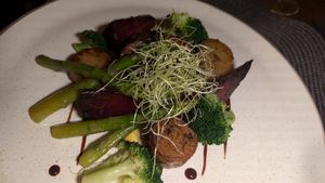  at The Botanist in Zadar