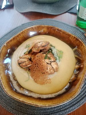  at The Botanist in Zadar