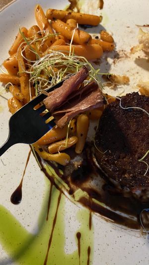 Dik dik  at The Botanist in Zadar