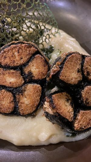   at The Botanist in Zadar