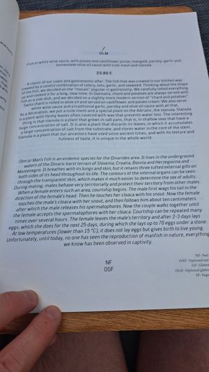  at The Botanist in Zadar