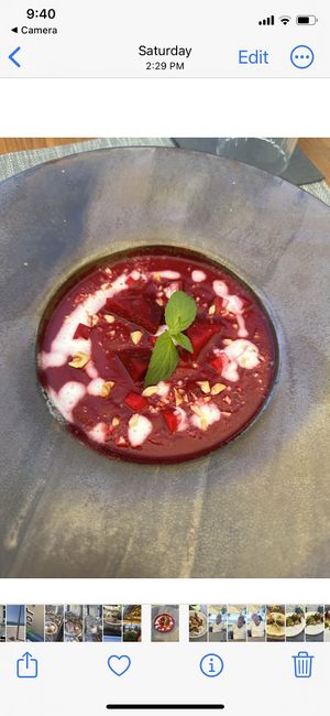   at The Botanist in Zadar