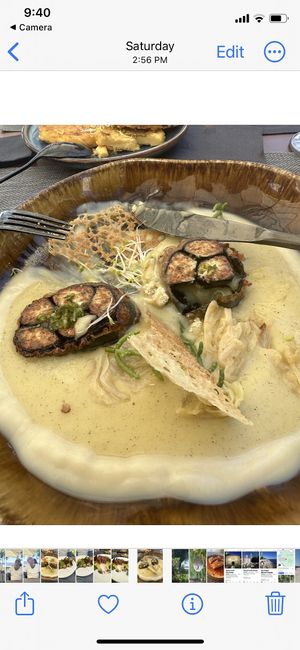   at The Botanist in Zadar