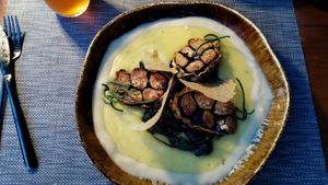  at The Botanist in Zadar