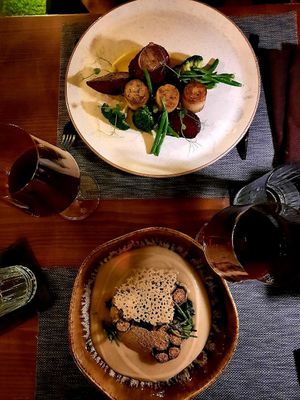  at The Botanist in Zadar