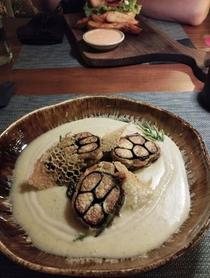  at The Botanist in Zadar