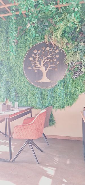  at The Botanist in Zadar