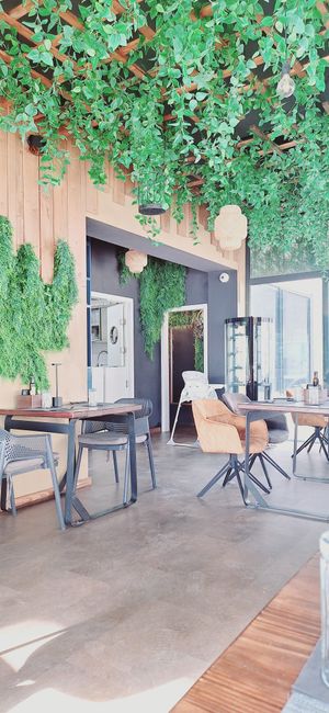  at The Botanist in Zadar