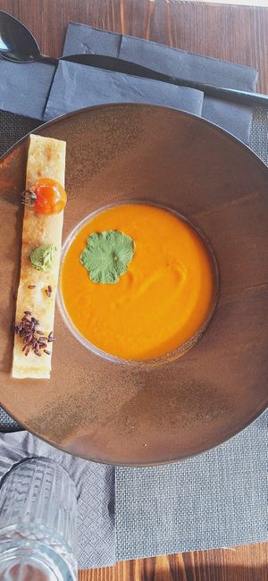  at The Botanist in Zadar