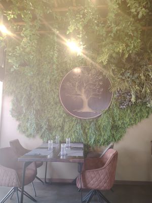  at The Botanist in Zadar