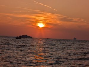  at The Botanist in Zadar