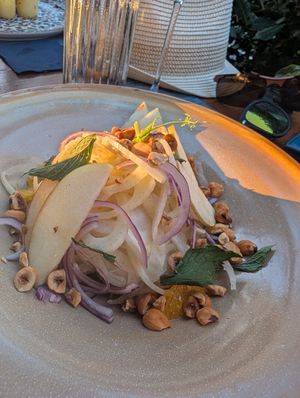  at The Botanist in Zadar