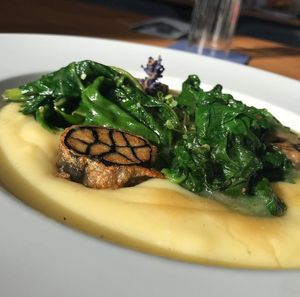  at The Botanist in Zadar