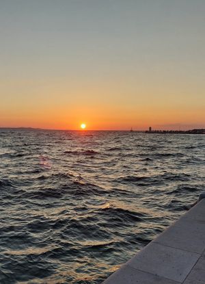  at The Botanist in Zadar