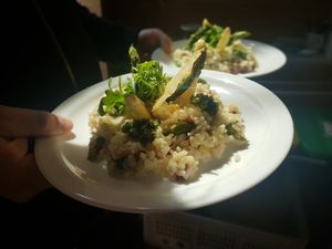  at Zuka Solicafé in Freiburg