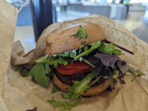 Plant burger at SFO - The Plant Cafe Organic- T2 in South San Francisco