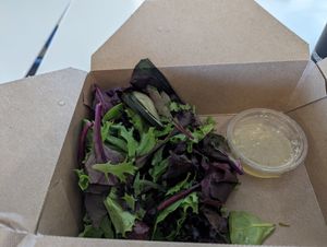side salad at SFO - The Plant Cafe Organic- T2 in South San Francisco