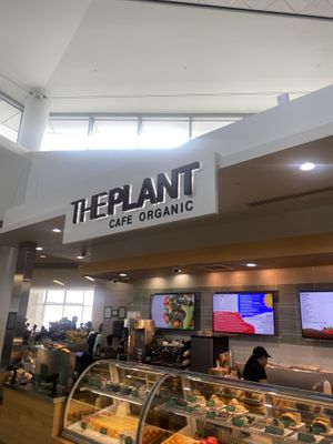 Store front  at SFO - The Plant Cafe Organic- T2 in South San Francisco