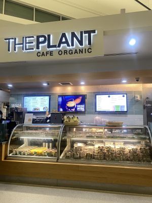 OG The Plant Inside Terminal 2 - Fresh Juice Availablee  at SFO - The Plant Cafe Organic- T2 in South San Francisco