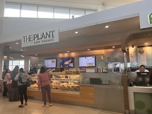   at SFO - The Plant Cafe Organic- T2 in South San Francisco