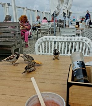 Laid back atmosphere at Nautilus aan Zee in Egmond Aan Zee