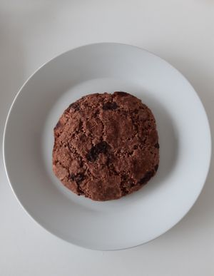 Chocolate cookie at Cultivate Food - Aker Brygge in Oslo