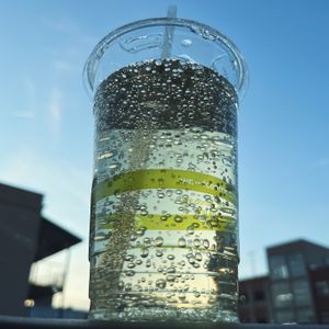 pineapple cream soda at Bosky's Vegan Grill in Springfield