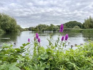 Views of the boating lake   at The Longholme in Bedford