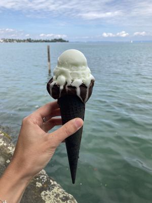 Paid 9 CHF for this  at Dolce Vita Eis-Manufaktur in Rorschach