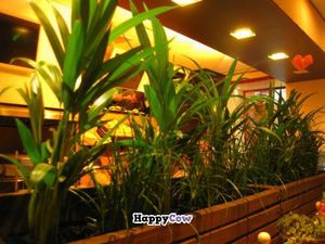 The life at Nebos in Kyiv