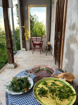  at Terrapolis - Garden and Table in Tarcal