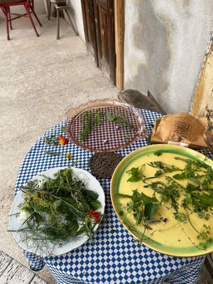  at Terrapolis - Garden and Table in Tarcal