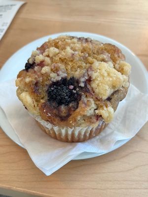 Vegan blackberry muffin   at Guilder Cafe at Powell's City of Books in Portland
