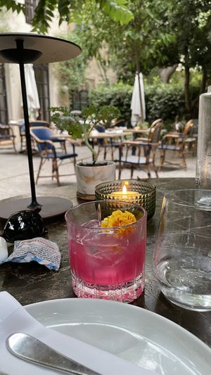   at Botànic in Mallorca