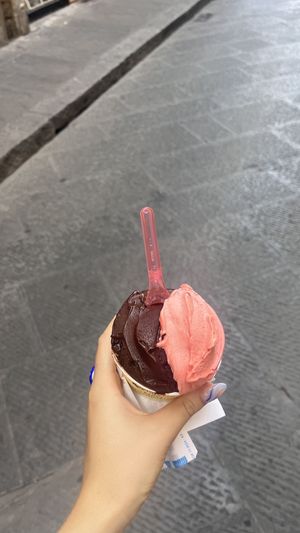 €5 worth   at Gelateria Dei Neri in Florence