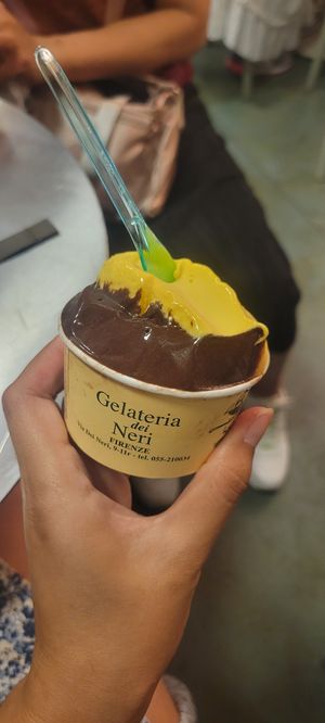 Dark chocolate and mango at Gelateria Dei Neri in Florence