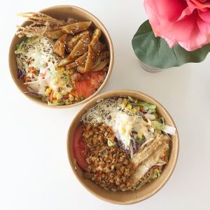 Bbq wheat gluten with rice and braised tofu with noodles  at Blazenest in Browns Plains