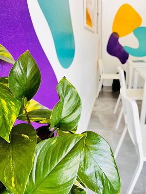   at Blazenest in Browns Plains