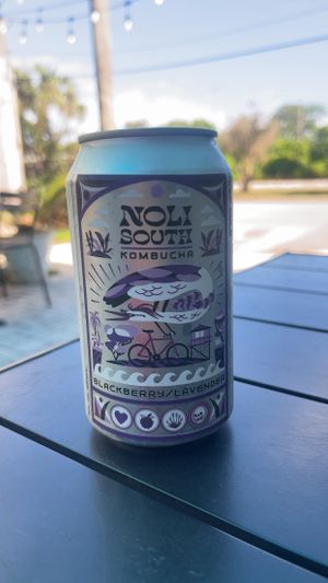 blackberry lavender kombucha - the best!   at End of the Line Cafe in Pensacola