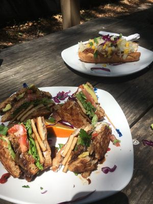 Avocado club and chili dog! at End of the Line Cafe in Pensacola
