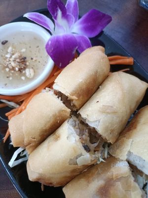 Spring rolls at Chada Vegetarian Restaurant in Chiang Mai