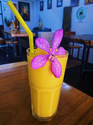   at Chada Vegetarian Restaurant in Chiang Mai