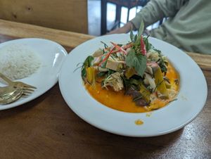 Panang curry and rice at Chada Vegetarian Restaurant in Chiang Mai