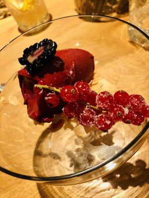 Desert: fruit sorbet  at Gasthaus Spitzer in Au In Der Hallertau