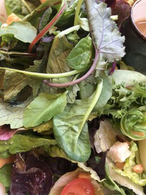 garten salad  at Peter Pane - Neue Promenade in Berlin