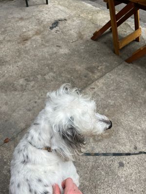 Kurt  at Inari in Rio De Janeiro