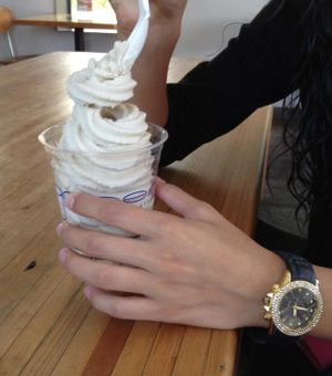 My friend loves the Tsoynami with nothing added to it. It's still delicious! at nami Vegan Sweets in Phoenix