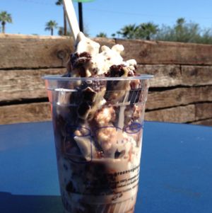 S'mores Tsoynami  at nami Vegan Sweets in Phoenix